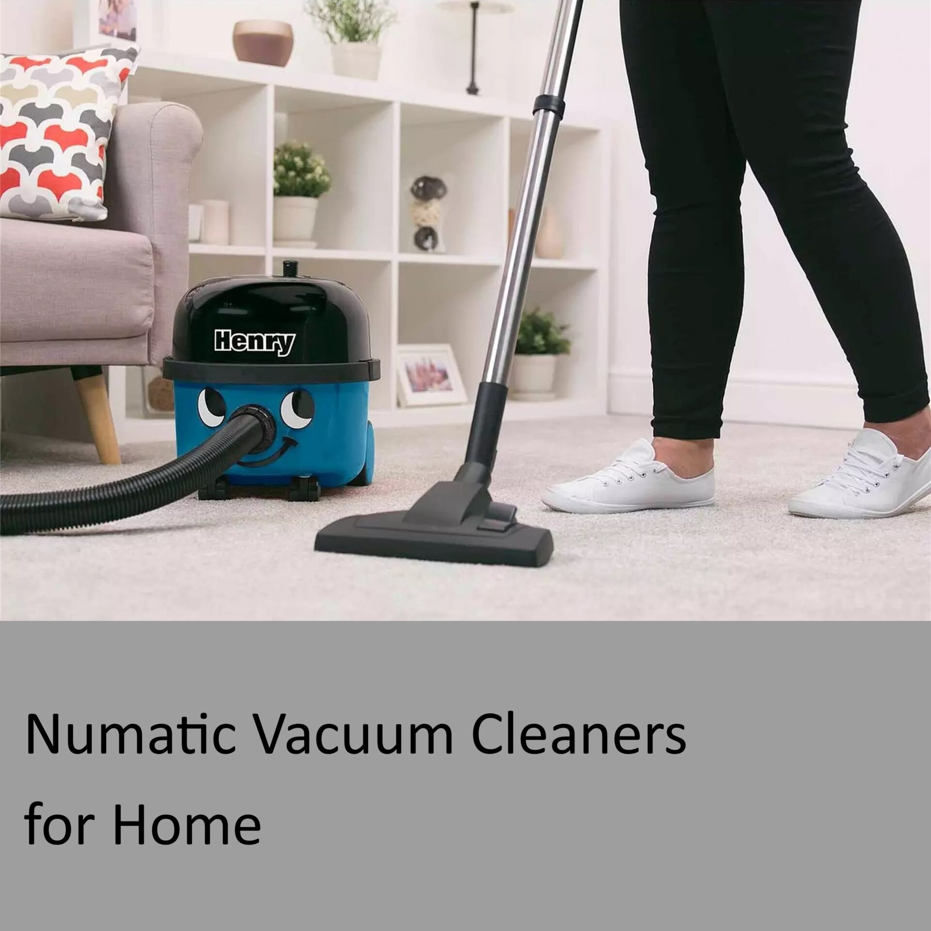 Numatic Vacuum Cleaner for Home