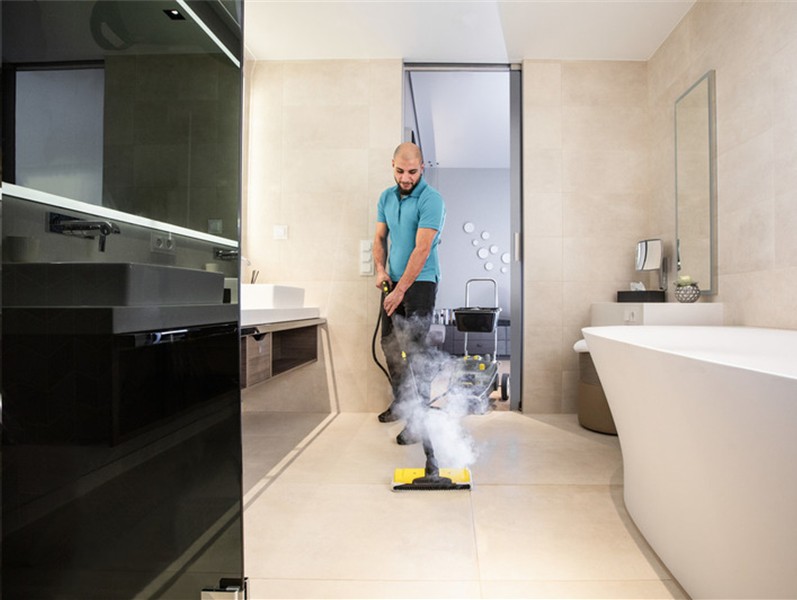 Steam Cleaners