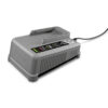 Karcher 36 V Fast Charger for Professional Batteries